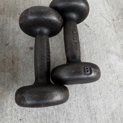 8LB Metal Dumbbells 