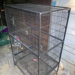 Bird Cage 