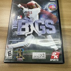 PS2 The Bigs
