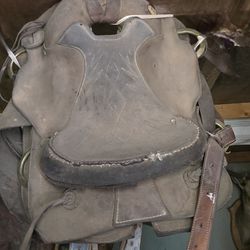 MONTURAS DE CABALLO $60 SON 2