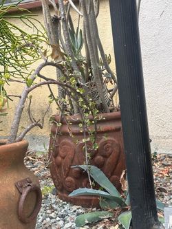 Flowerpot