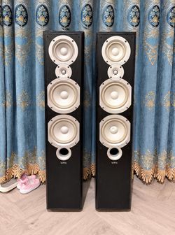 Budget audiophile speaker Infinity Primus P363