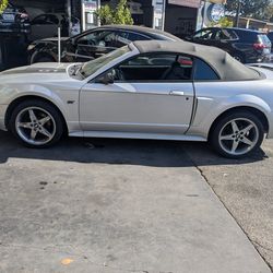2000 Ford Mustang