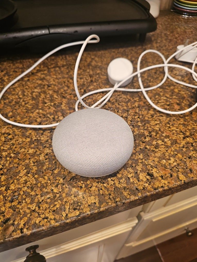 Google Home Mini Speaker