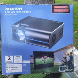 Projector and outdoor inflatable screen