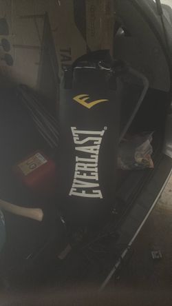 Everlast Punching bag