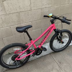 20” Specialized 