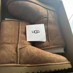 Uggs 