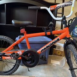 20” Boys bike $25!