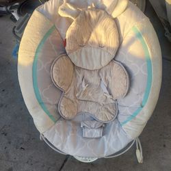Baby Bouncer