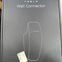 Tesla Wall Connecter