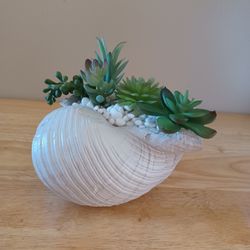 New Threshold Faux Green Succulent Seashell Planter 