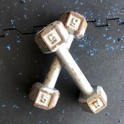 5lb Dumbbells 