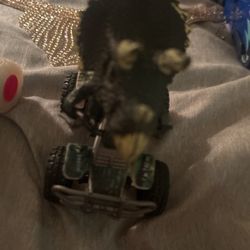 Four Wheeler Dinosaur Monster Wheels