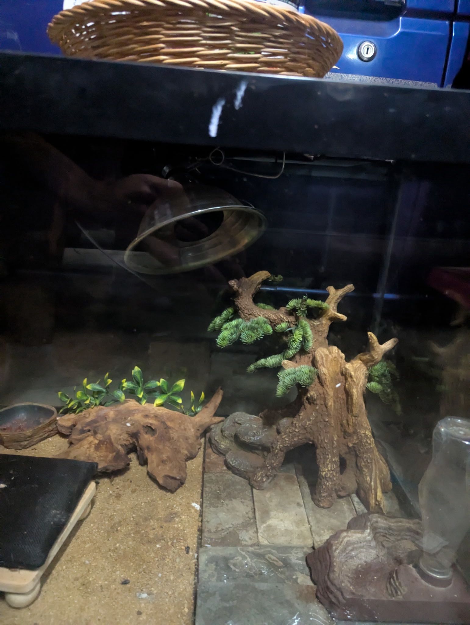 80 Gallon Tank