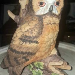 Owl Decor