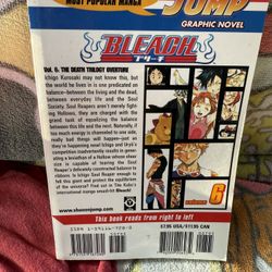 Bleach Vol 6