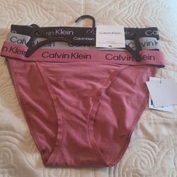 Calvin Klein Ladies Logo Bikini Tanga Panties 3pack 