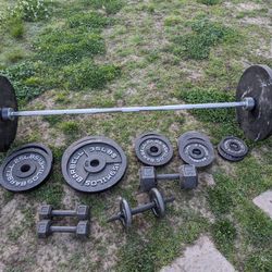 Olympic Weight Plates And Curl Bar