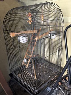 Cage 100 For Both