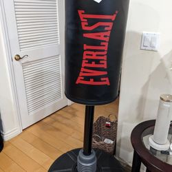 Freestanding Everlast Punching Bag in great shape