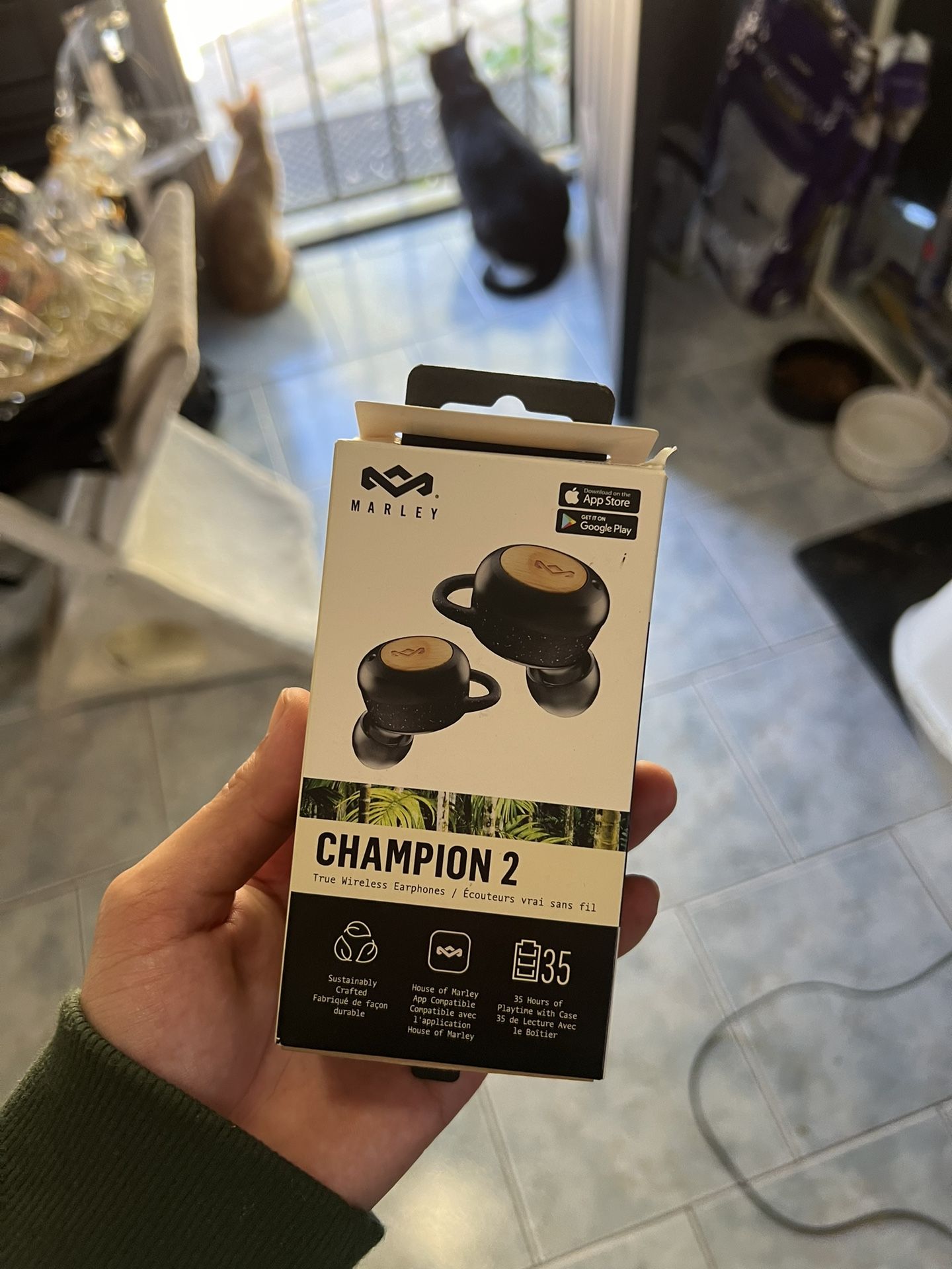 Champion 2 Wireless Earbuds 