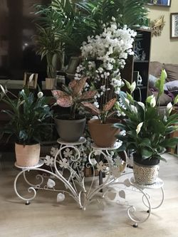 Plant stand.2 part you can put 4 pots.plant not included.