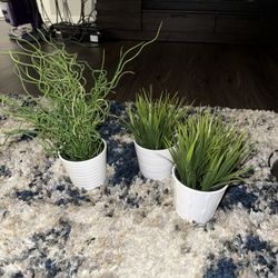 Set Of 3 Faux Plants 