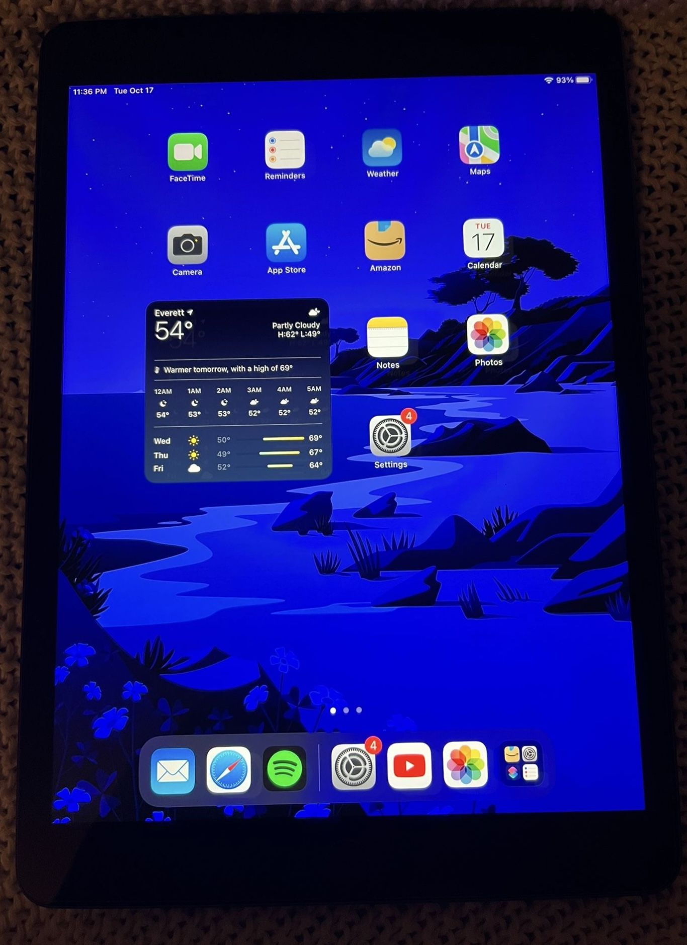 iPad