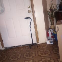 Cane 