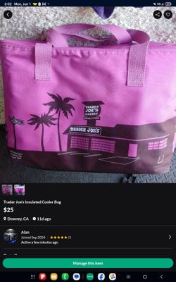 Trader Joe's Large Insulated Bag