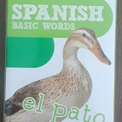 New Spanish Basic Words Flashcards