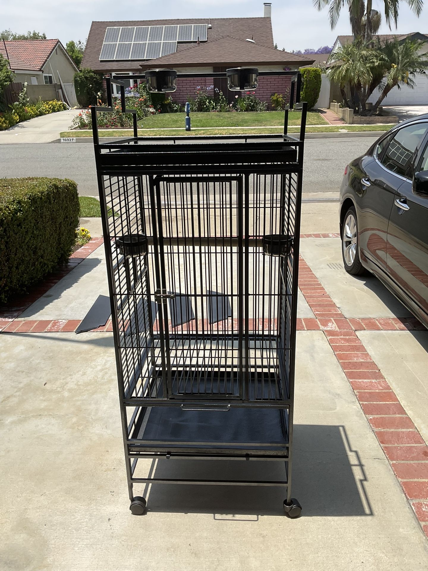 Bird Cage