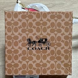 New Bag In Box