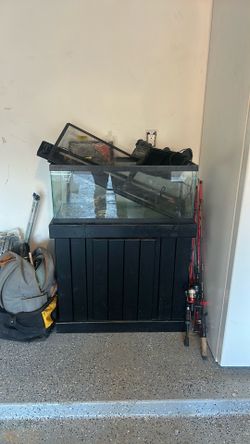 20 Gallon Tank Set Up