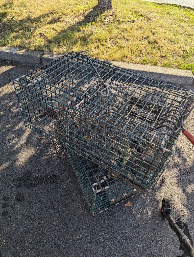 Wire Lobster Traps