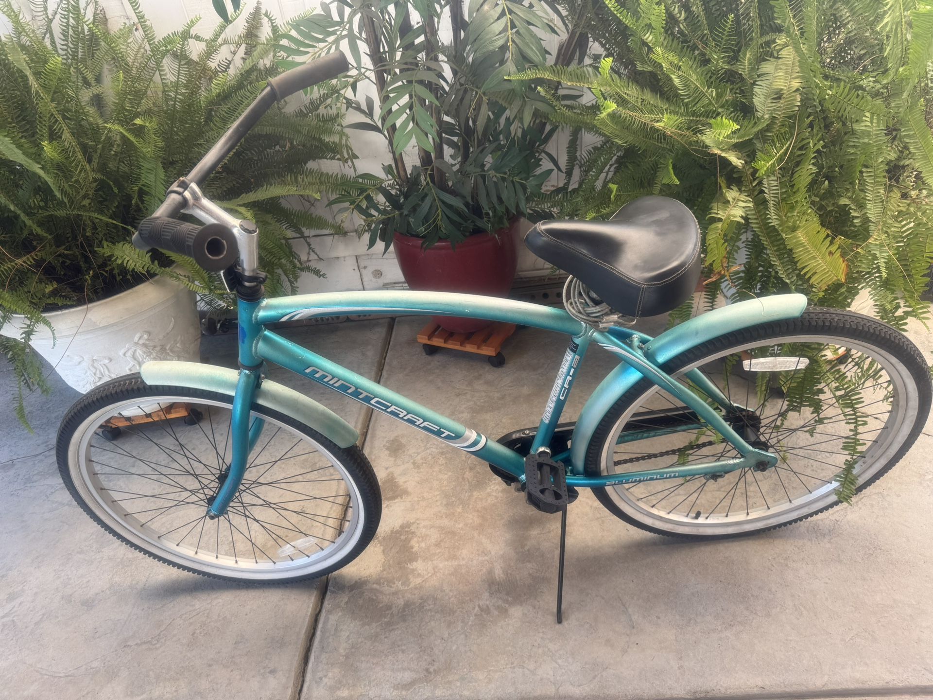 Bicycle