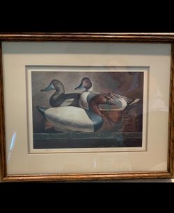 “Working Ducks” By Michael J. Weber Framed Print