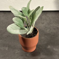 Faux Fake Terracotta Plant