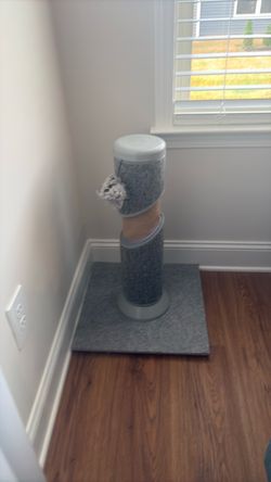 Cat scratcher