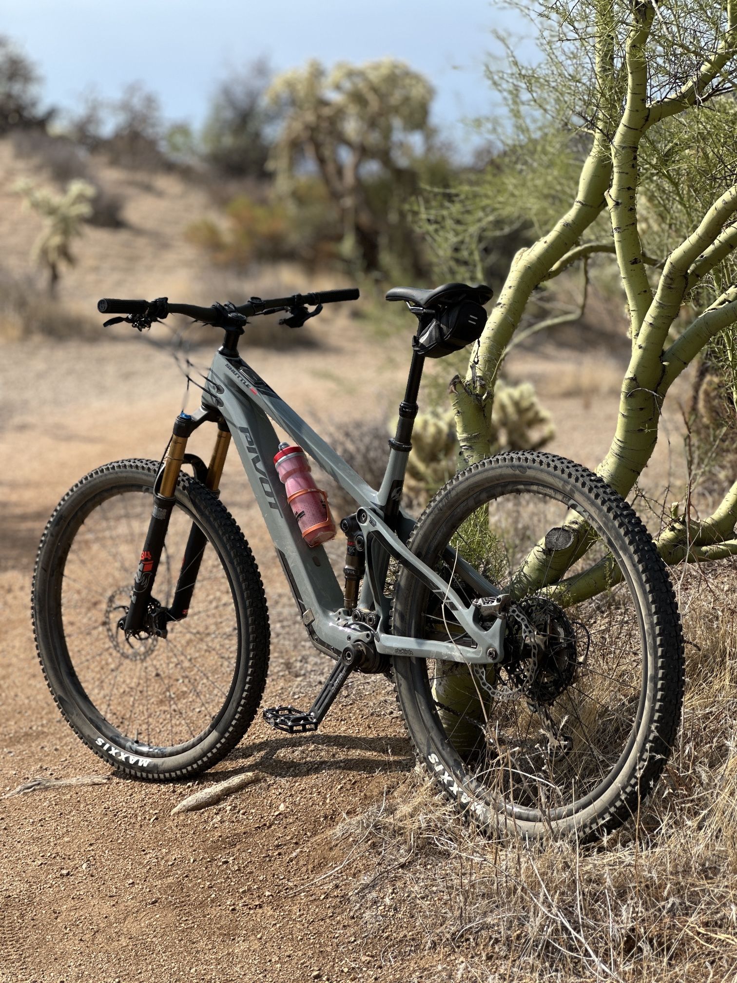 Pivot Shuttle SL World Cup XTR Build