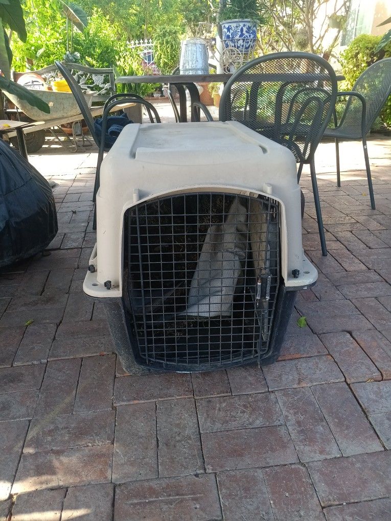 Doge Crate