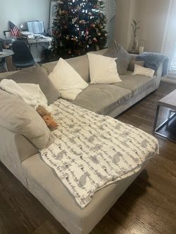 Living Room Set