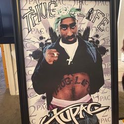 2 PAC Wall Decor 