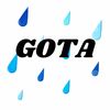 GOTA LLC