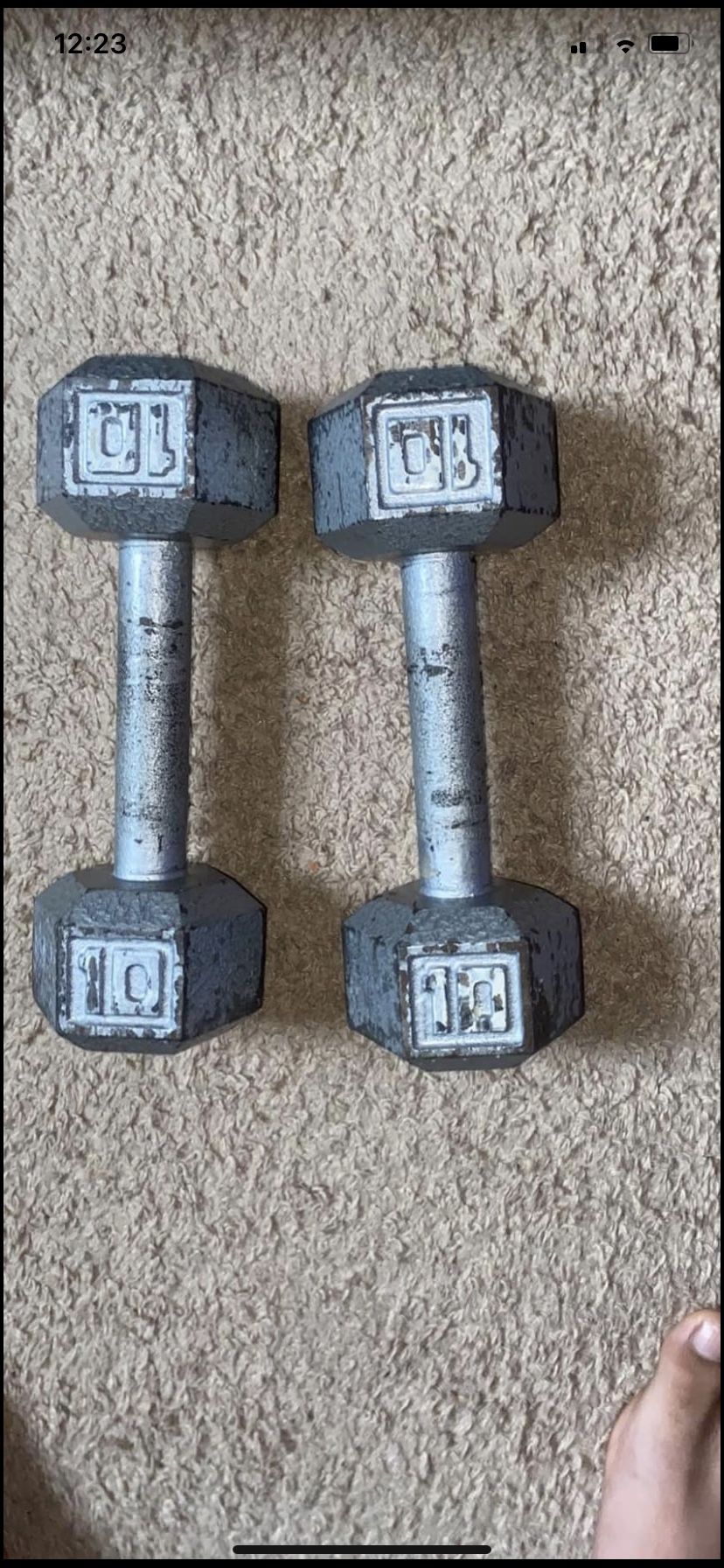 10lb Dumbbells