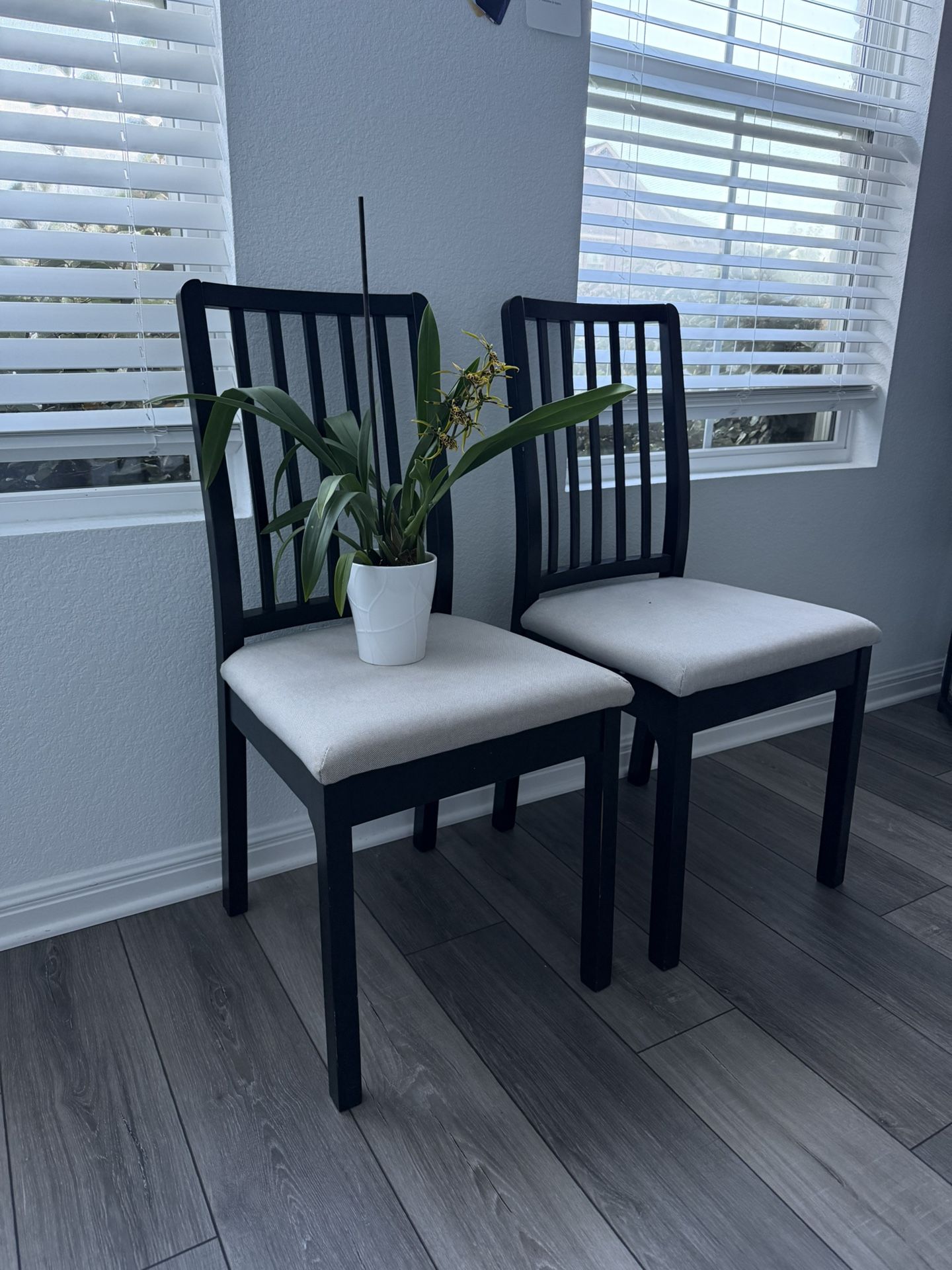 IKEA Dining Chairs