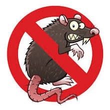 Cebo Para Ratones/rats/miceπππ¦«π¦