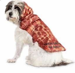 Halloween dog costume (small and large available)