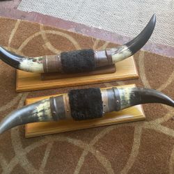 Wall Decor Horns